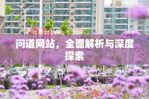 问道网站，全面解析与深度探索