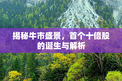 揭秘牛市盛景，首个十倍股的诞生与解析