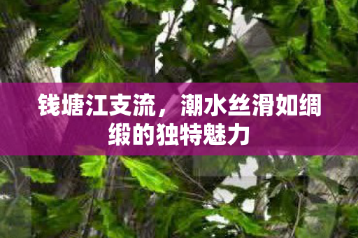 钱塘江支流，潮水丝滑如绸缎的独特魅力