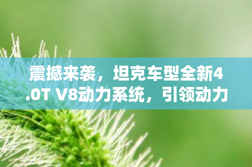 震撼来袭，坦克车型全新4.0T V8动力系统，引领动力革命新篇章