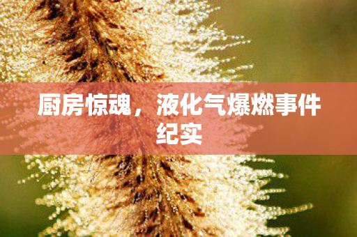 厨房惊魂，液化气爆燃事件纪实