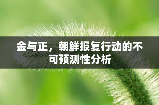 金与正，朝鲜报复行动的不可预测性分析