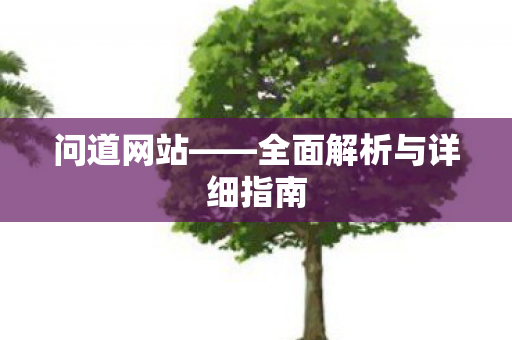 问道网站——全面解析与详细指南