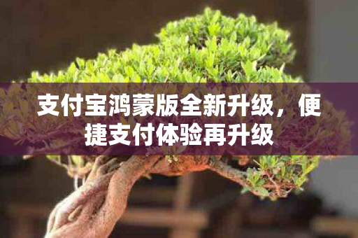 支付宝鸿蒙版全新升级，便捷支付体验再升级