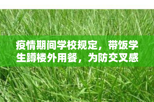 疫情期间学校规定，带饭学生蹲楼外用餐，为防交叉感染的智慧之举