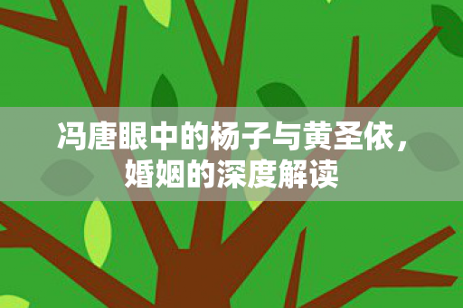 冯唐眼中的杨子与黄圣依，婚姻的深度解读