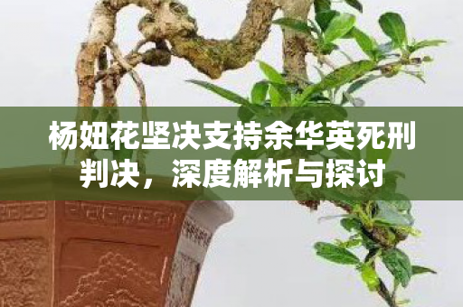 杨妞花坚决支持余华英死刑判决，深度解析与探讨
