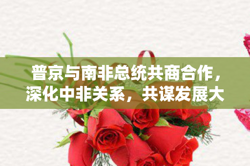普京与南非总统共商合作，深化中非关系，共谋发展大计