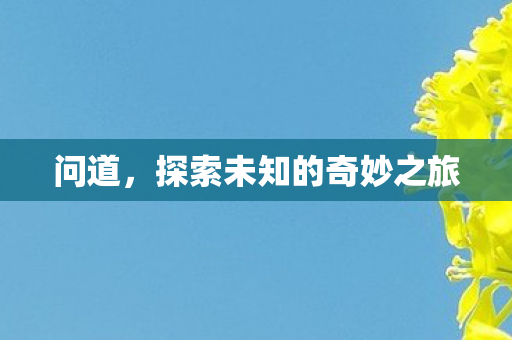 问道，探索未知的奇妙之旅