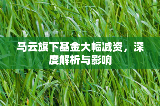 马云旗下基金大幅减资，深度解析与影响