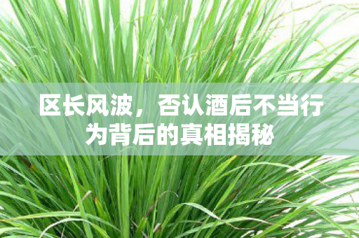 区长风波，否认酒后不当行为背后的真相揭秘