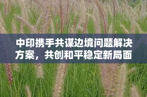 中印携手共谋边境问题解决方案，共创和平稳定新局面