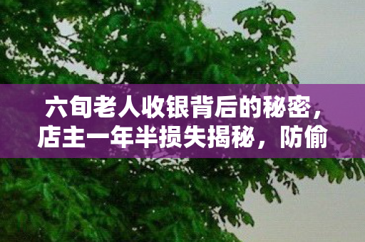 六旬老人收银背后的秘密，店主一年半损失揭秘，防偷措施刻不容缓