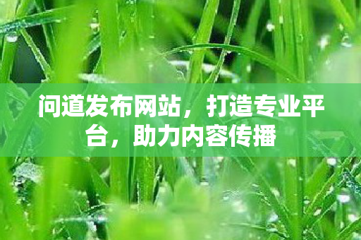 问道发布网站，打造专业平台，助力内容传播