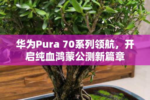 华为Pura 70系列领航，开启纯血鸿蒙公测新篇章