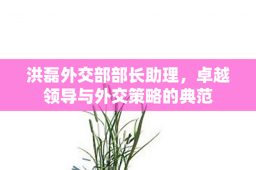 洪磊外交部部长助理，卓越领导与外交策略的典范