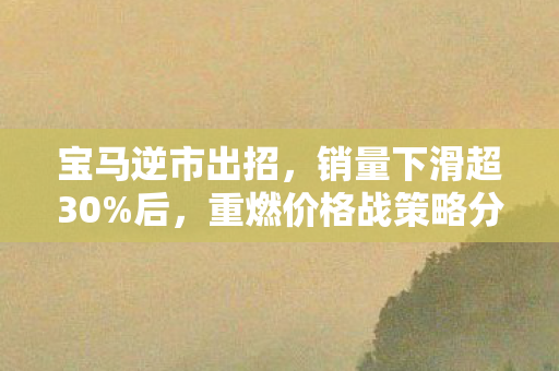 宝马逆市出招，销量下滑超30%后，重燃价格战策略分析