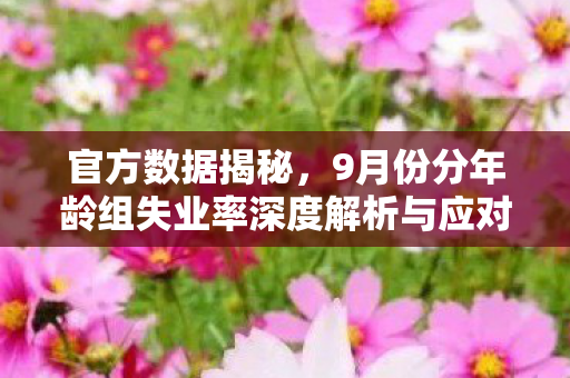 官方数据揭秘，9月份分年龄组失业率深度解析与应对策略