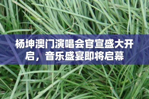 杨坤澳门演唱会官宣盛大开启，音乐盛宴即将启幕