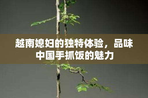 越南媳妇的独特体验，品味中国手抓饭的魅力