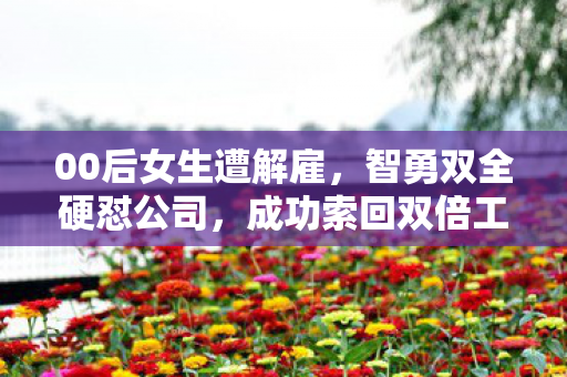 00后女生遭解雇，智勇双全硬怼公司，成功索回双倍工资——职场新篇章的启示