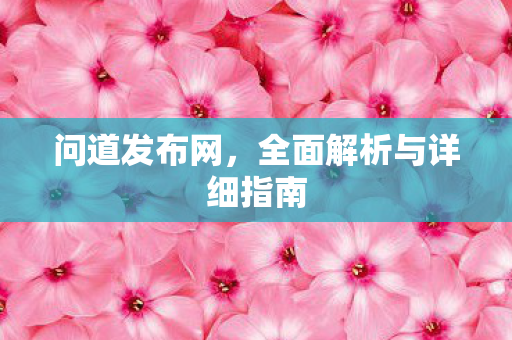问道发布网，全面解析与详细指南