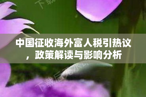 中国征收海外富人税引热议，政策解读与影响分析