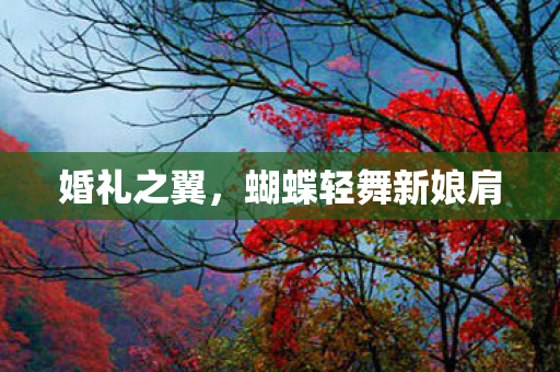 婚礼之翼，蝴蝶轻舞新娘肩