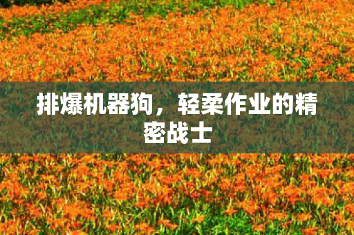 排爆机器狗，轻柔作业的精密战士