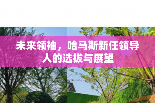 未来领袖，哈马斯新任领导人的选拔与展望