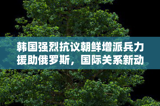 韩国强烈抗议朝鲜增派兵力援助俄罗斯，国际关系新动向分析