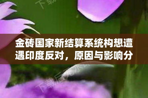 金砖国家新结算系统构想遭遇印度反对，原因与影响分析