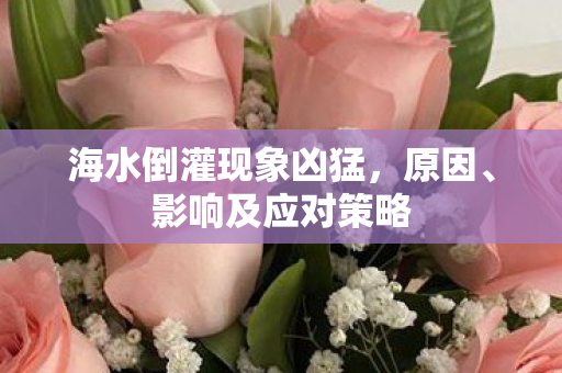 海水倒灌现象凶猛，原因、影响及应对策略