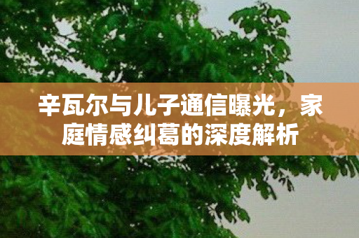 辛瓦尔与儿子通信曝光，家庭情感纠葛的深度解析