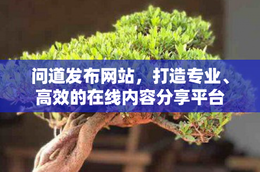 问道发布网站，打造专业、高效的在线内容分享平台