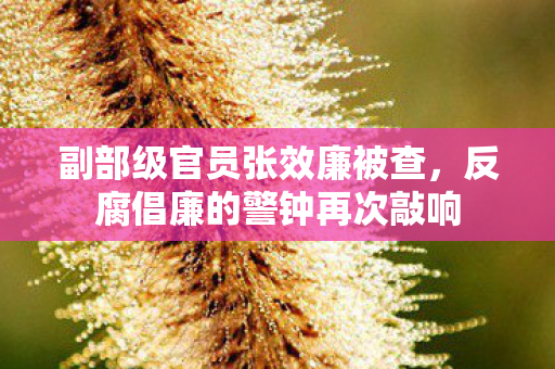 副部级官员张效廉被查，反腐倡廉的警钟再次敲响