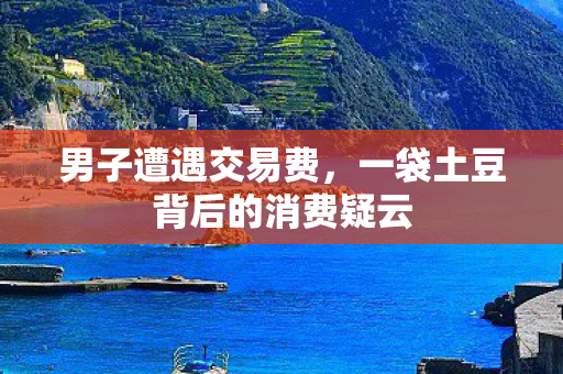 男子遭遇交易费，一袋土豆背后的消费疑云
