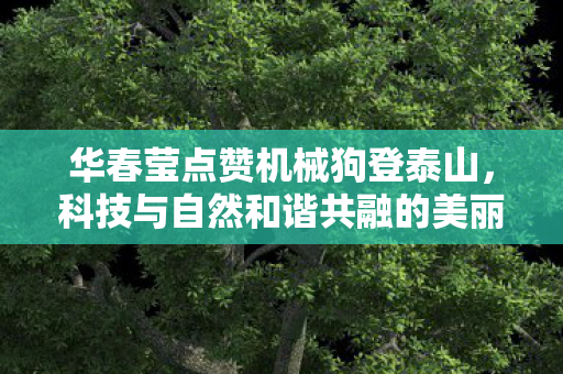 华春莹点赞机械狗登泰山，科技与自然和谐共融的美丽瞬间