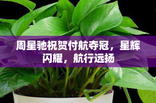 周星驰祝贺付航夺冠，星辉闪耀，航行远扬