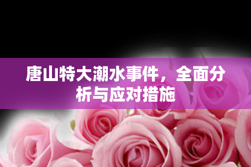 唐山特大潮水事件，全面分析与应对措施