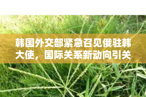 韩国外交部紧急召见俄驻韩大使，国际关系新动向引关注