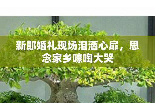 新郎婚礼现场泪洒心扉，思念家乡嚎啕大哭