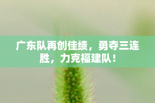 广东队再创佳绩，勇夺三连胜，力克福建队！