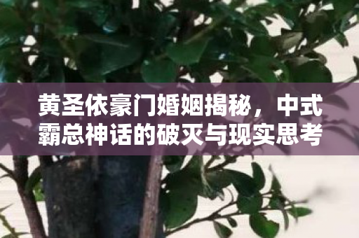 黄圣依豪门婚姻揭秘，中式霸总神话的破灭与现实思考