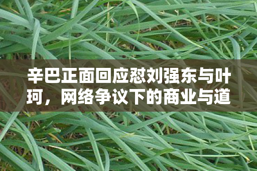 辛巴正面回应怼刘强东与叶珂，网络争议下的商业与道德探讨