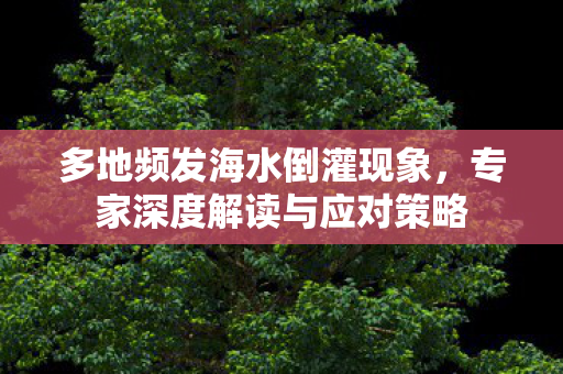 多地频发海水倒灌现象，专家深度解读与应对策略