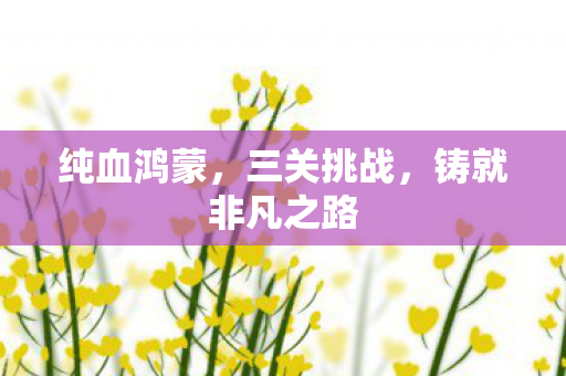 纯血鸿蒙，三关挑战，铸就非凡之路