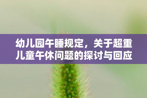 幼儿园午睡规定，关于超重儿童午休问题的探讨与回应