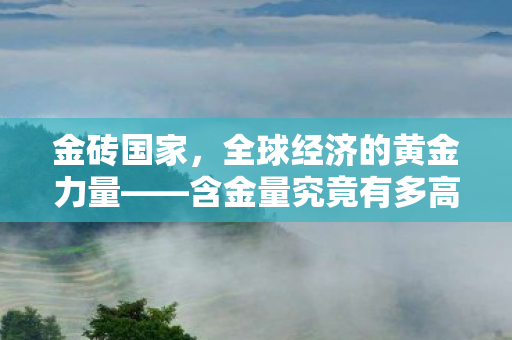 金砖国家，全球经济的黄金力量——含金量究竟有多高？