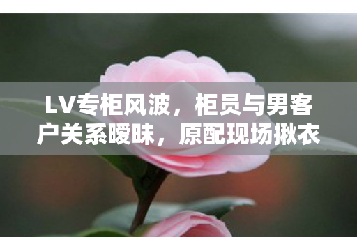 LV专柜风波，柜员与男客户关系暧昧，原配现场揪衣领事件始末